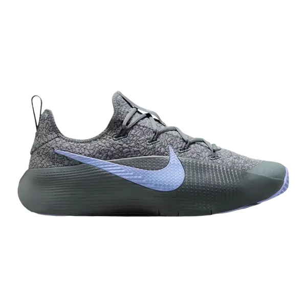 나이키 르브론 TR 1 M Nike Lebron TR 1 Cool Grey Iron Grey FJ6151-008